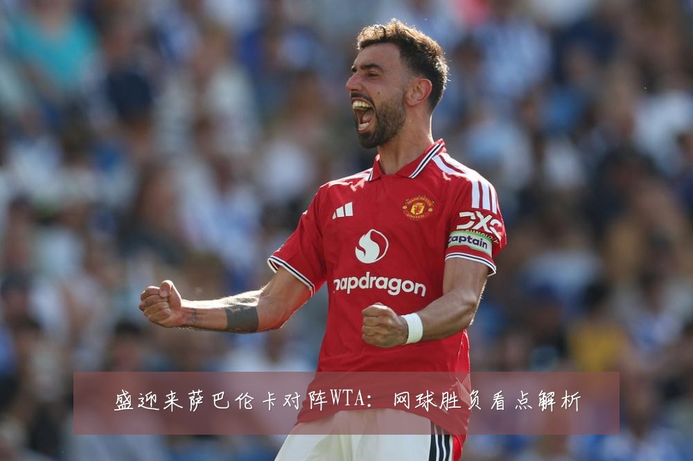 盛迎来萨巴伦卡对阵WTA：网球胜负看点解析